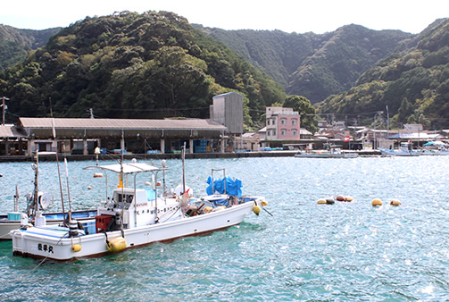 島勝浦