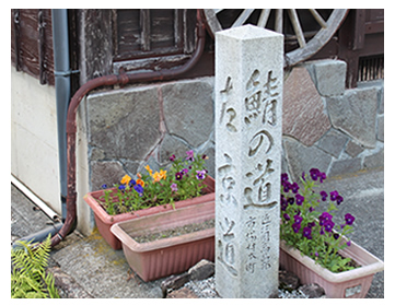 鯖の道