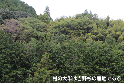 村の大半は吉野杉の産地である
