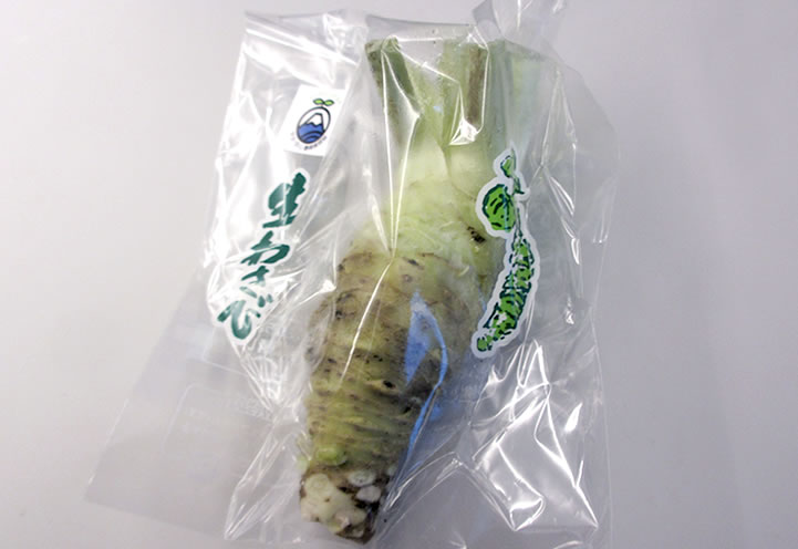 「わさびの門前」で土産にもらったワサビ