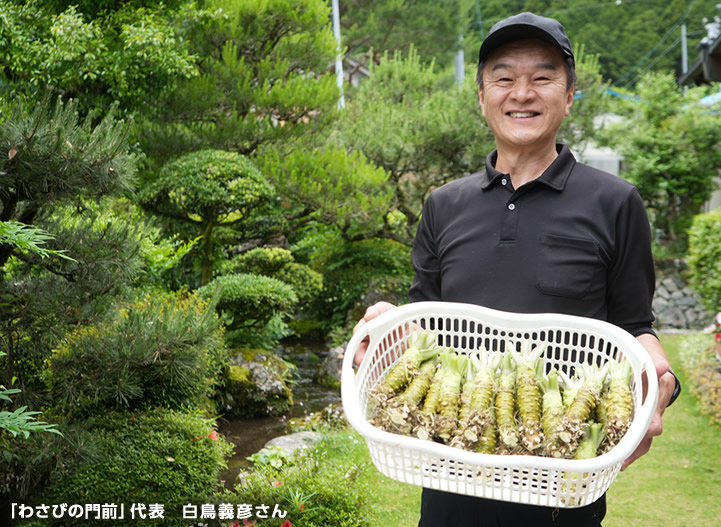 「わさびの門前」代表 白鳥義彦さん