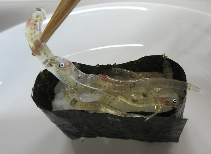 シロウオの軍艦巻き