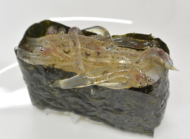 シロウオの軍艦巻き