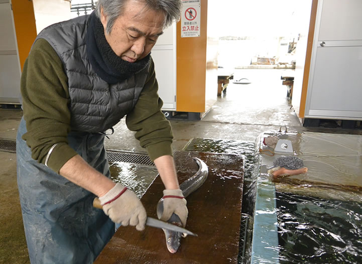 伝助穴子を捌く
