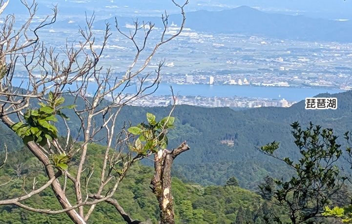 琵琶湖