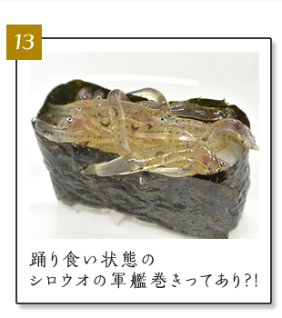 (13)踊り食い状態のシロウオの軍艦巻きってあり?!