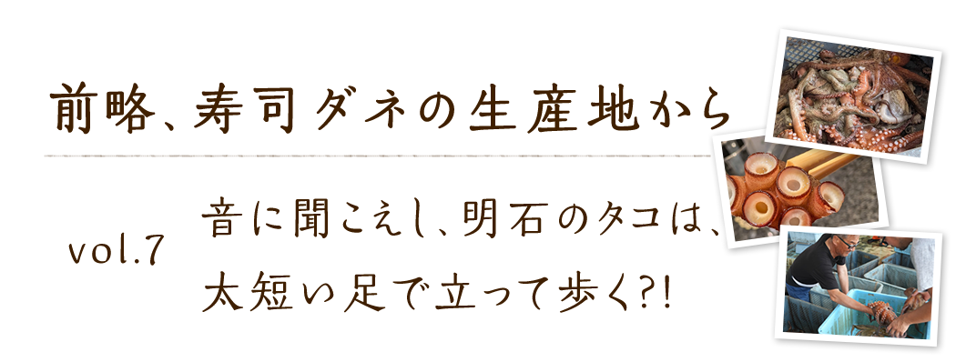 vol.7 音に聞こえし、明石のタコは、太短い足で立って歩く?!