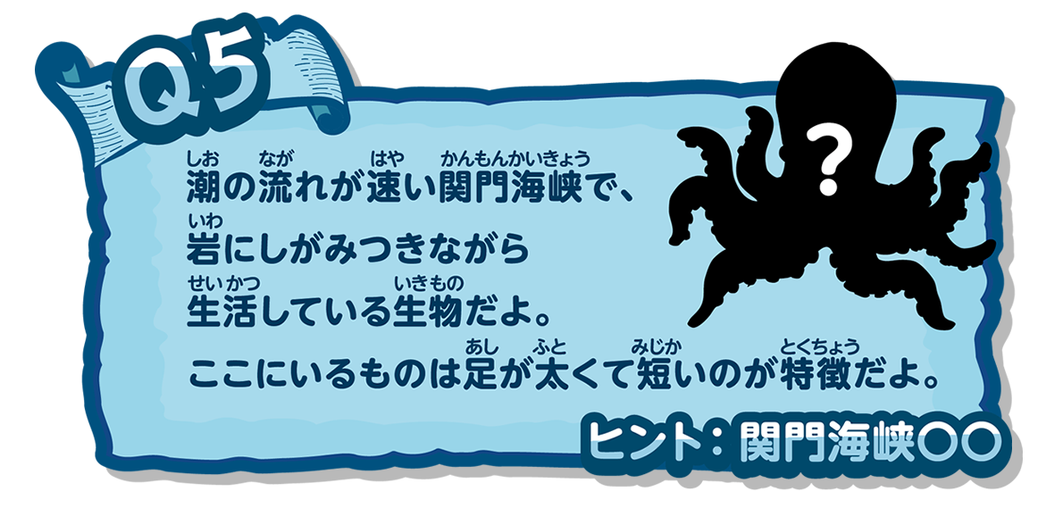 潮の流れが速い関門海峡で、岩にしがみつきながら生活している生物だよ。ここにいるものは足が太くて短いのが特徴だよ。