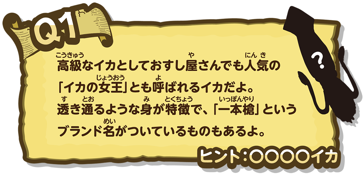 高級なイカとしておすし屋さんでも人気の「イカの女王」とも呼ばれるイカだよ。透き通るような身が特徴で、「一本槍」というブランド名がついているものもあるよ。