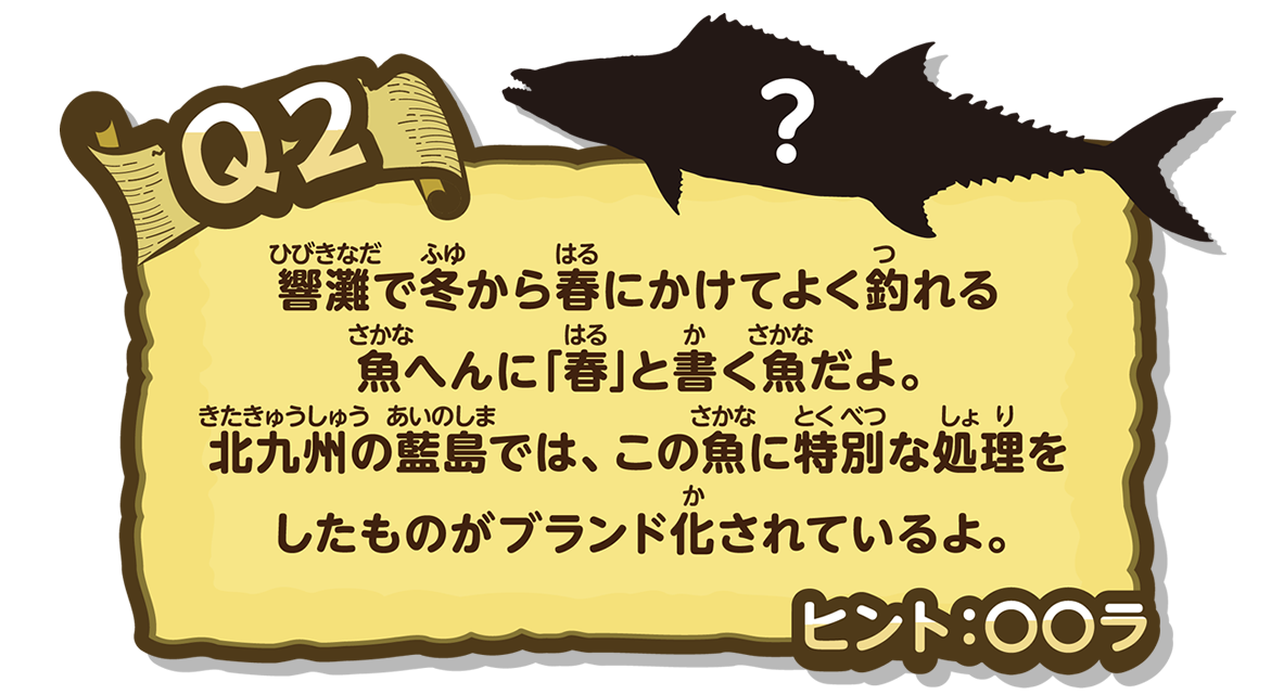 響灘で冬から春にかけてよく釣れる魚へんに「春」と書く魚だよ。北九州市の藍島では、この魚に特別な処理をしたものがブランド化されているよ。