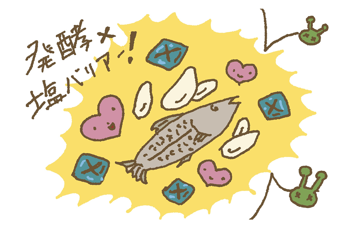 発酵と塩でバリアー