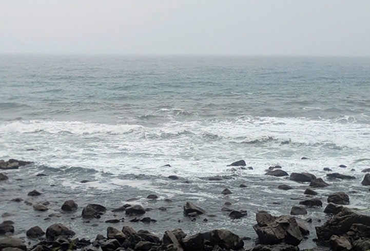 土佐湾