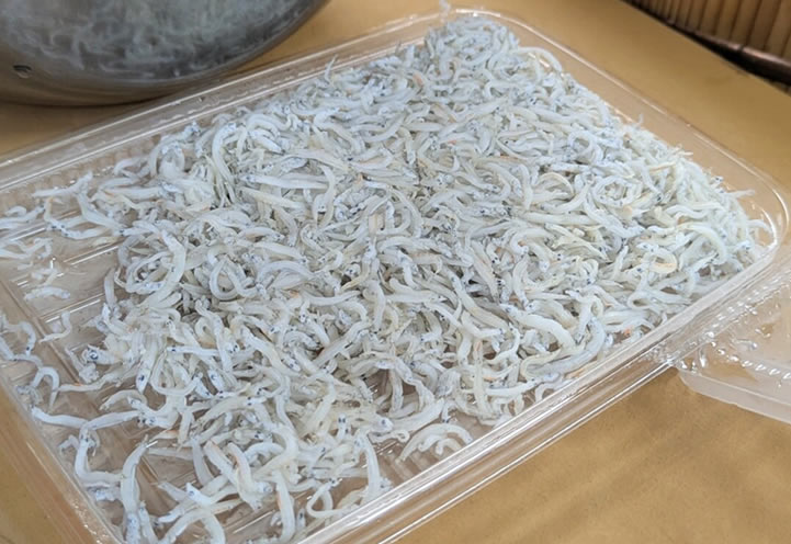 ちりめん