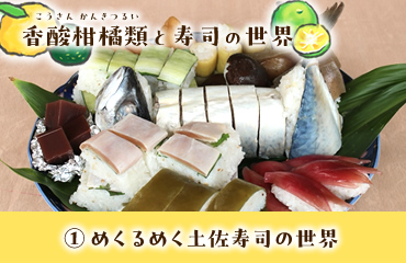 めくるめく土佐寿司の世界