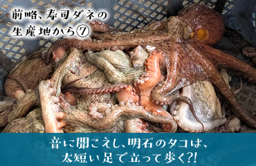 前略、寿司ダネの生産地から(7)