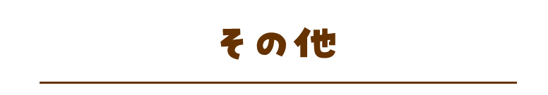 その他