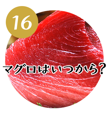 (16)マグロはいつから？