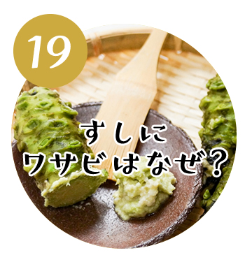 (19)すしにワサビはなぜ？