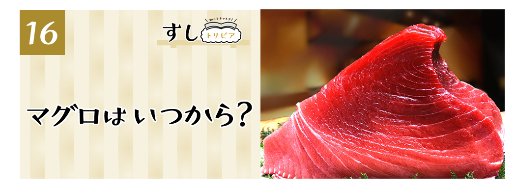 (16)マグロはいつから?